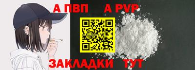 2c-b Кингисепп