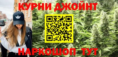 2c-b Кингисепп