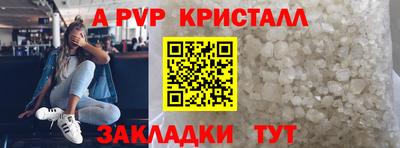 2c-b Кингисепп