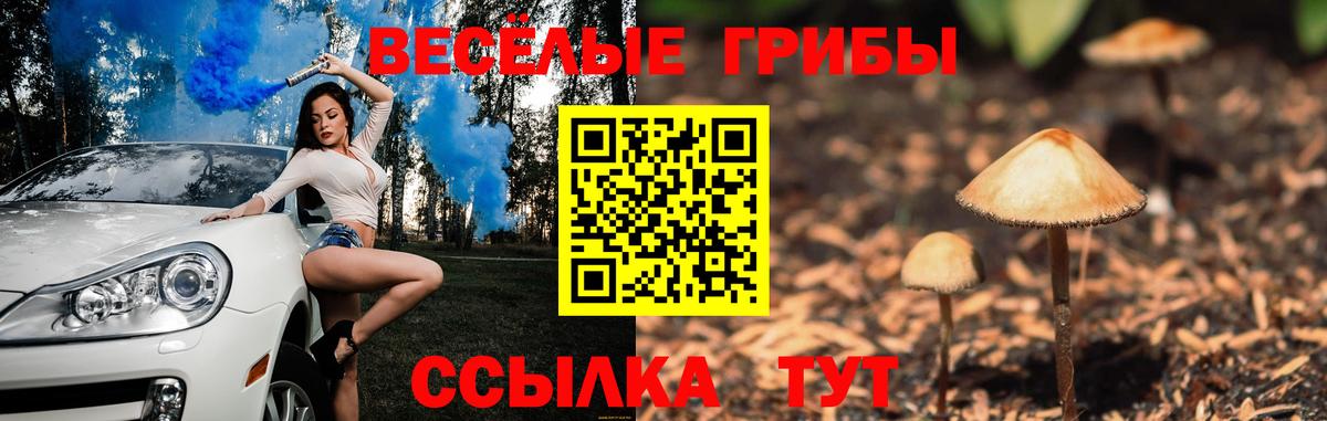Галлюциногенные грибы ЛСД Хабаровск