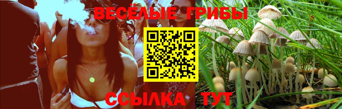 Хабаровск  Галлюциногенные грибы Psilocybe  Псилоцибиновые грибы мухоморы  где купить   Вход с VPN 